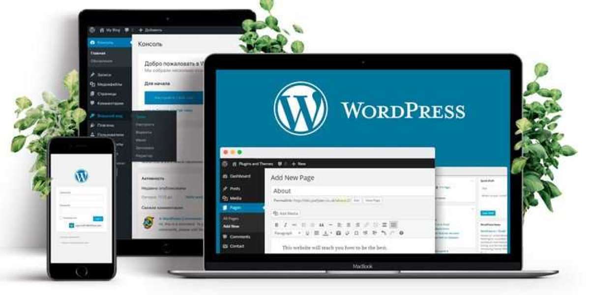 WordPress Development Agency Delivering Enterprise-Grade Digital Solutions