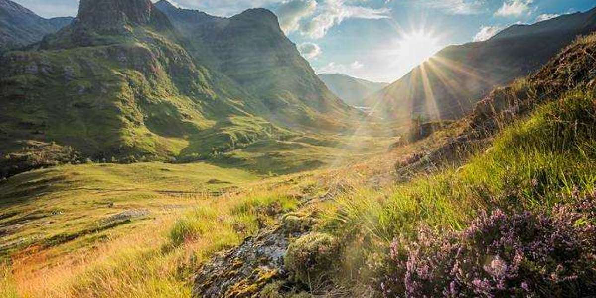 How to Buy Lordship – A Simple Guide to Noble Tradition