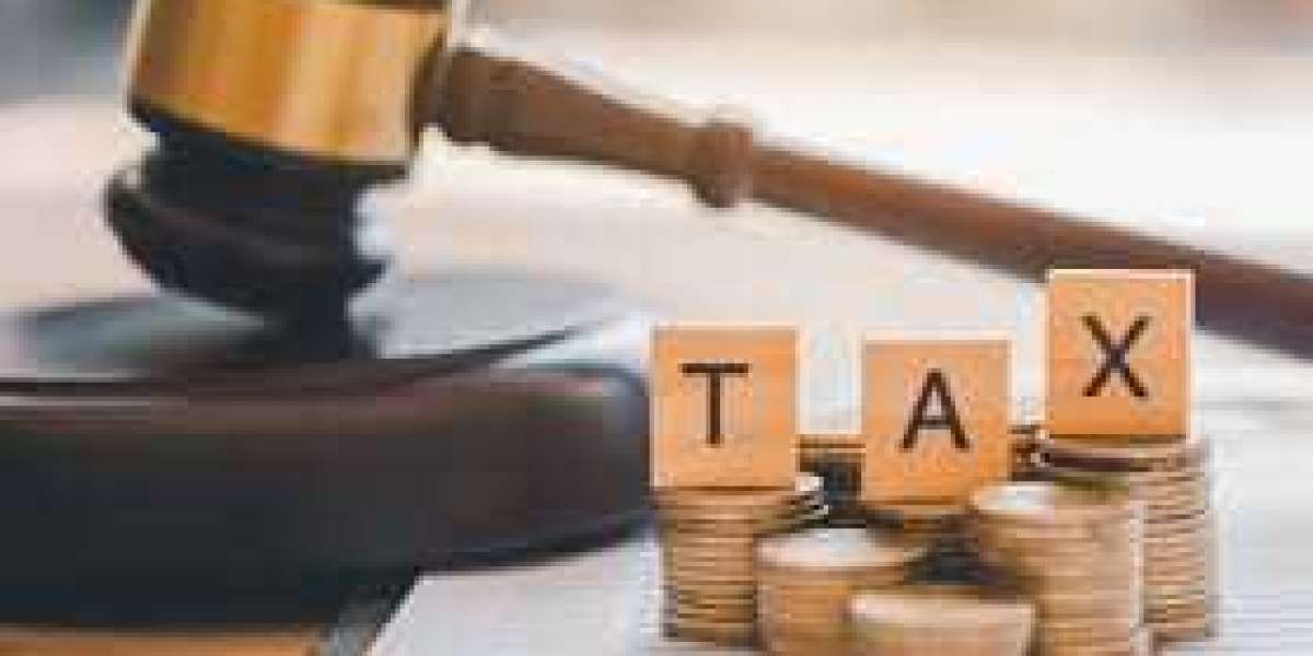 Master Your Taxes with Tax Filer Pakistan Login for Seamless Filing