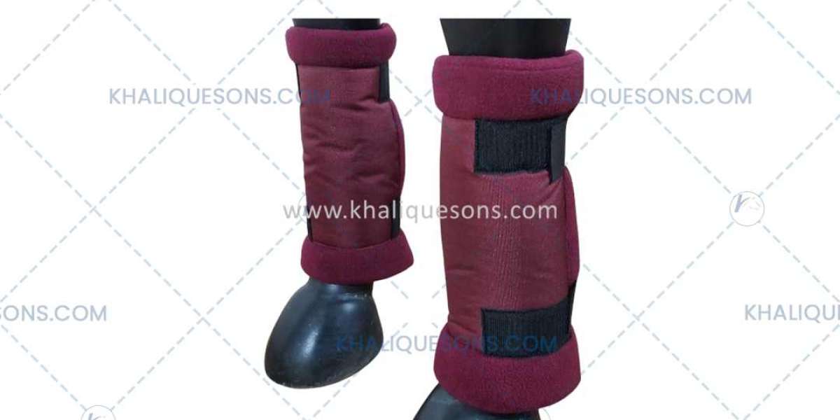 What Makes Trusted Horse Boots Manufacturers Stand Out in 2026