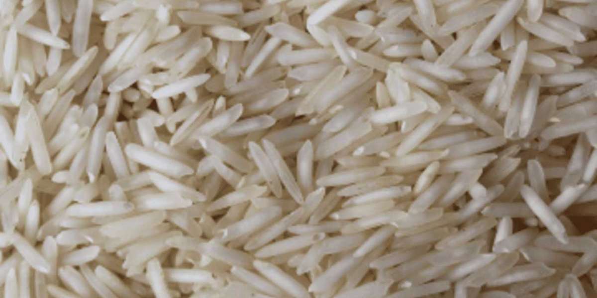 How Creamy Basmati Rice Enhances Every Dish