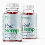 Vital Hemp Gummies Australia Profile Picture
