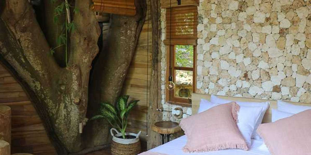 Why Bali Treehouse Accommodation Is Captivating Travelers