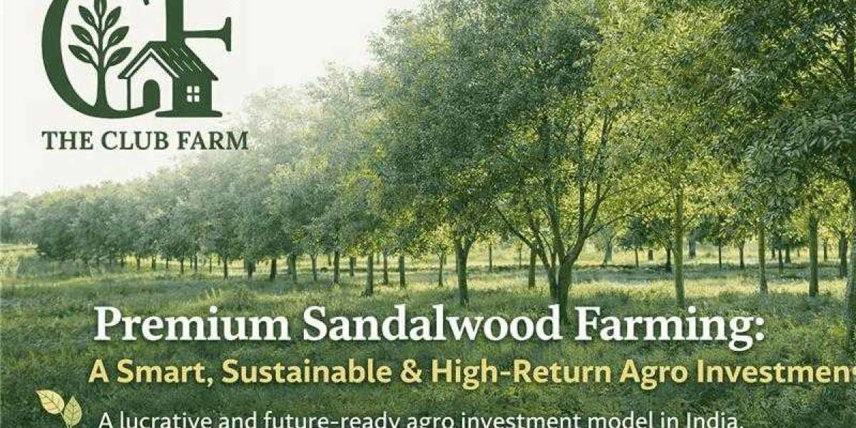 Premium Sandalwood Farming: A Smart, Sustainable & High-Return Agro Investment