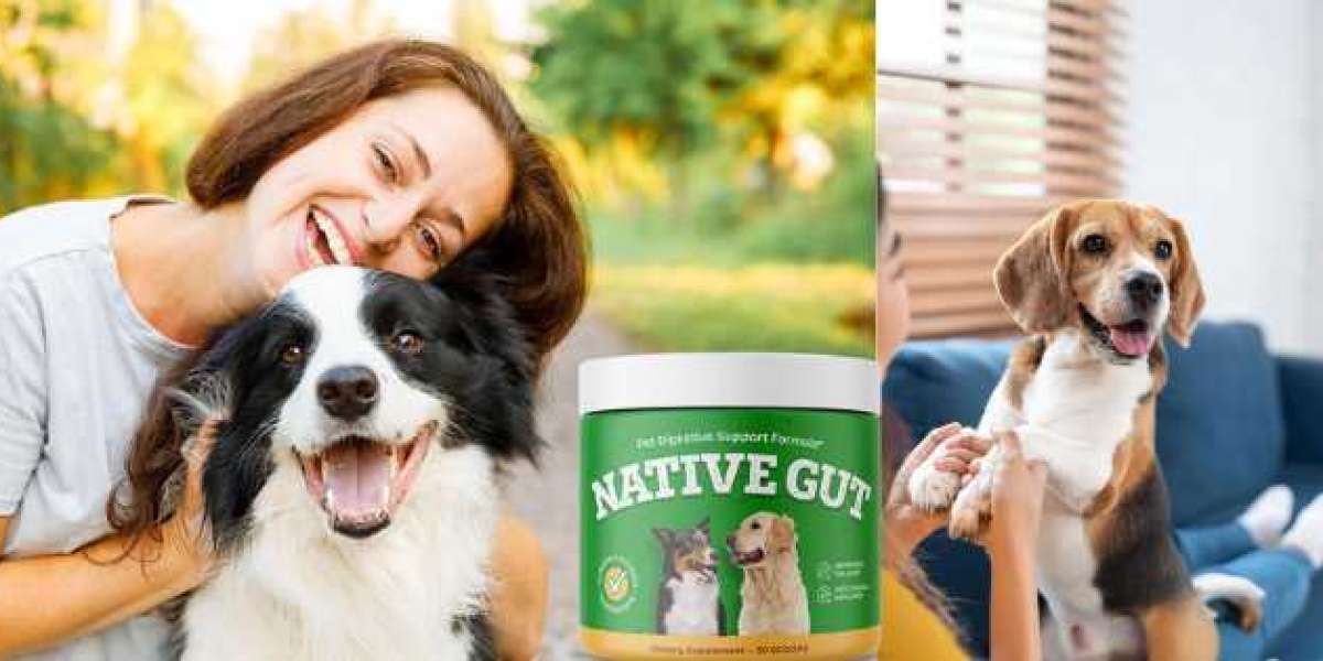 NativeGut: Natural Daily Digestive Health Supplement for Pets