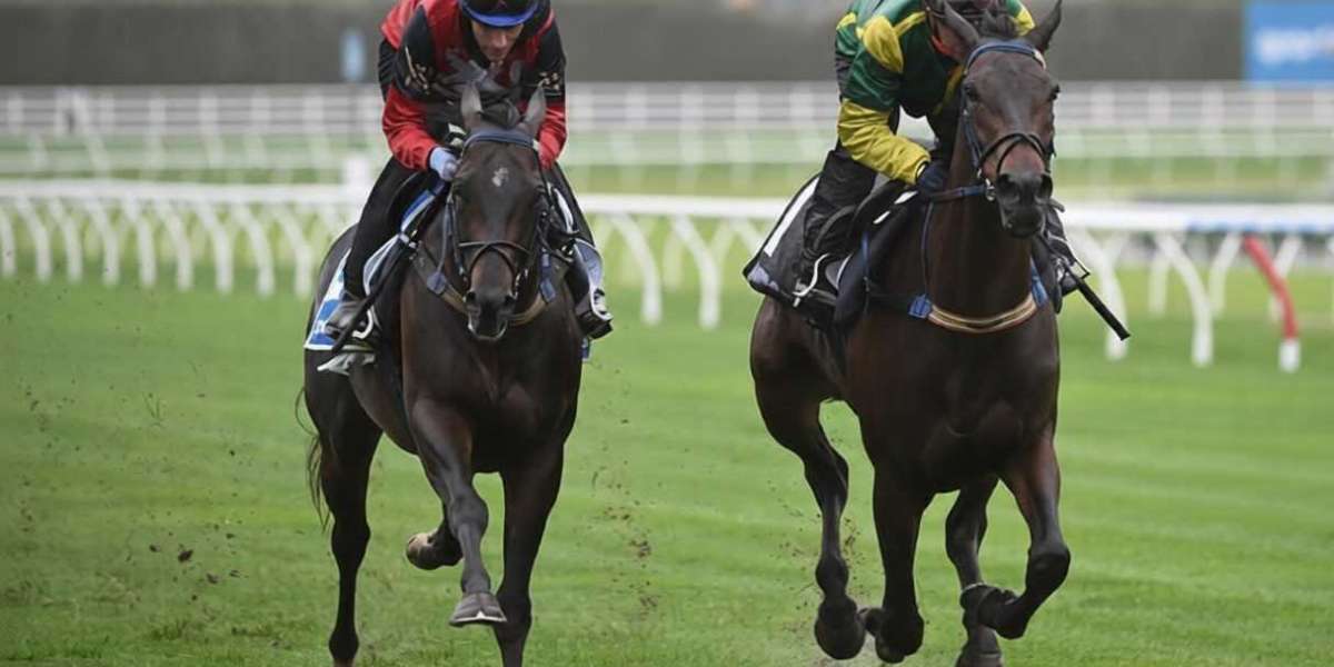 How to Choose the Best Australian Betting App in 2026