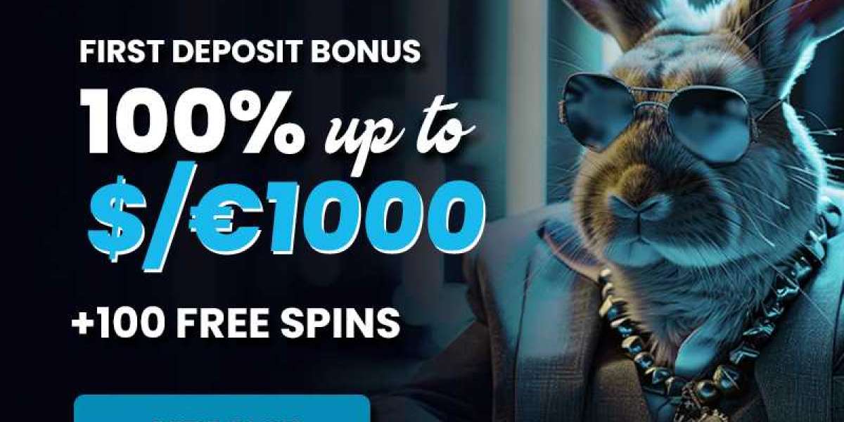 PlayMojo Casino 2026 Guide for Online Players