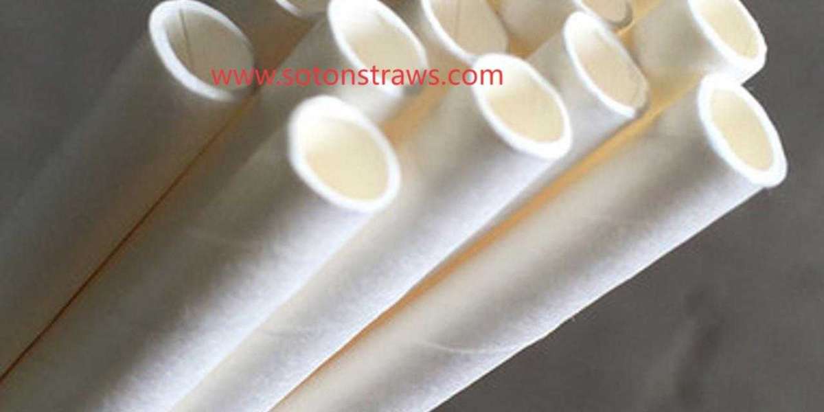 Explore Soton Dependable Eco-friendly Straws