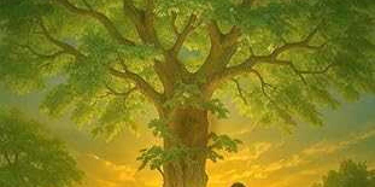 Biblical Roots of Humanity: Understanding Where We Began and Why It Still Matters