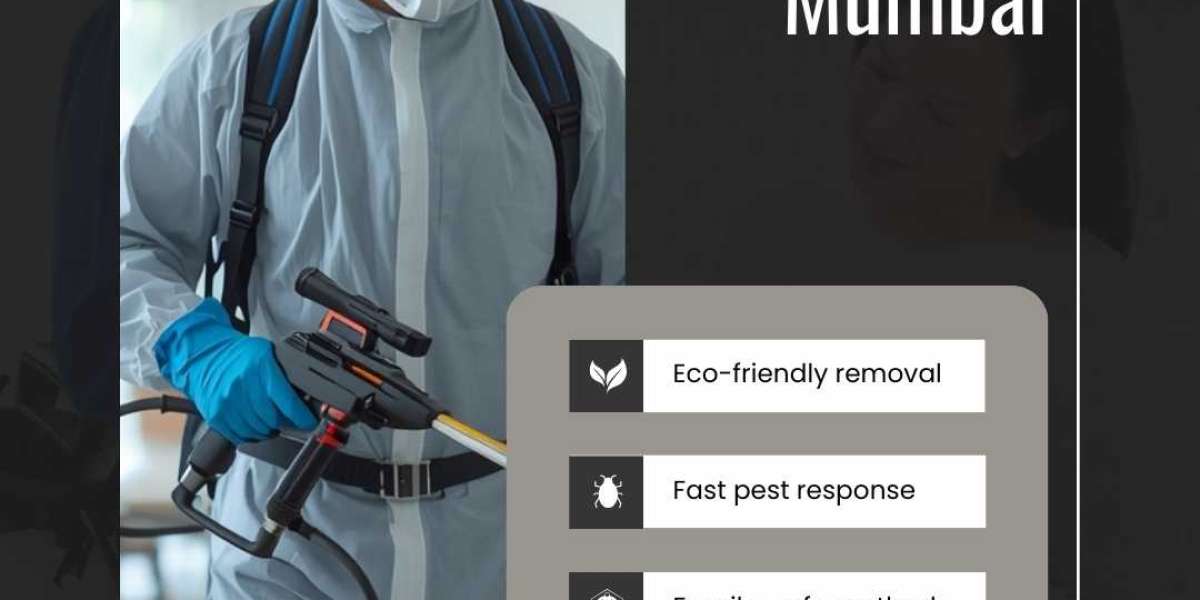 Best Pest Control Mumbai: Your Guide to a Pest-Free Home in 2026