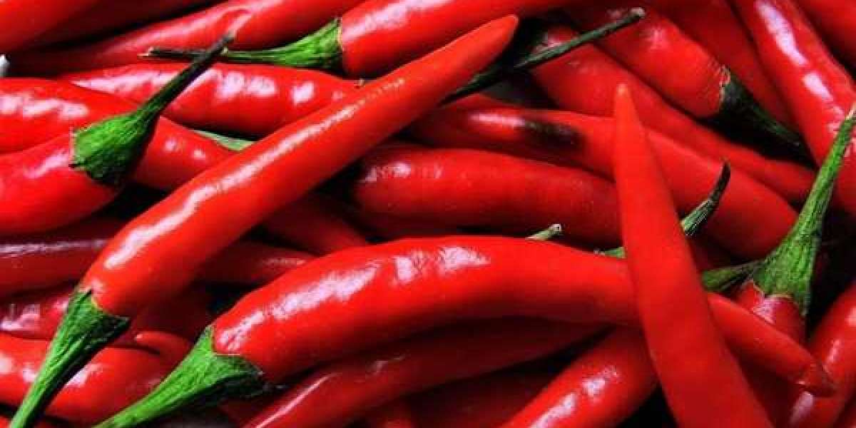 Azlok Lal Mirchi – Adding Color, Heat, and Purity to Every Dish