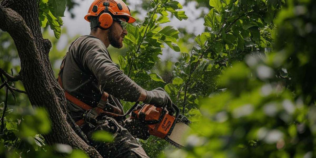 Tree Service Marietta GA | Expert Care by Stanton Tree Service