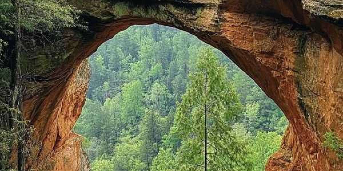 Joyful Birthday Dave Stieb