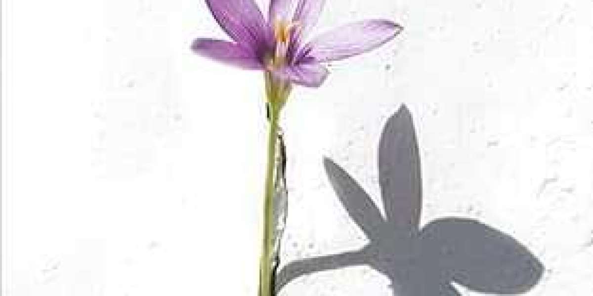 Christian Perspective on Spiritual Waiting: Embracing Patience in God’s Timing