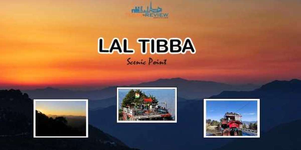 Touching the Sky: A Complete Travel Guide to Lal Tibba Scenic Point