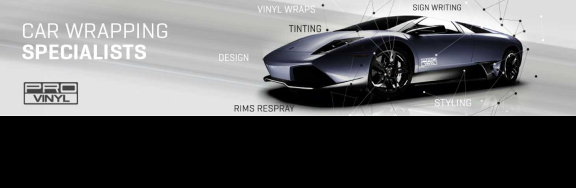 PRO vinyl Cover Image