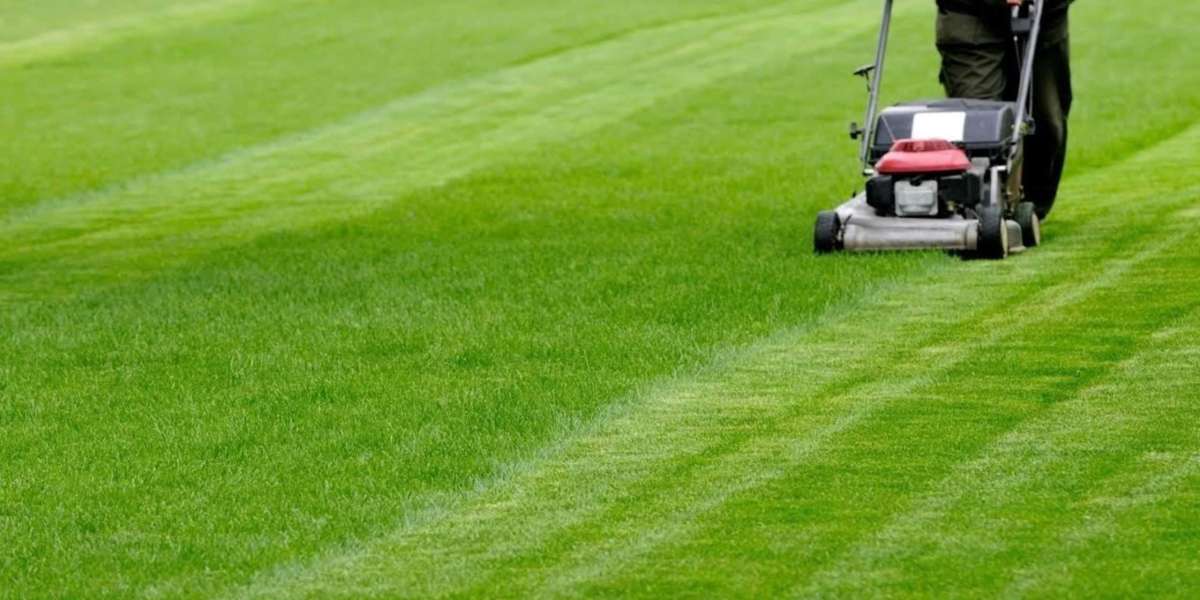 How Can Expert Lawn Maintenance Services Prevent Soil Erosion and Landscape Damage?