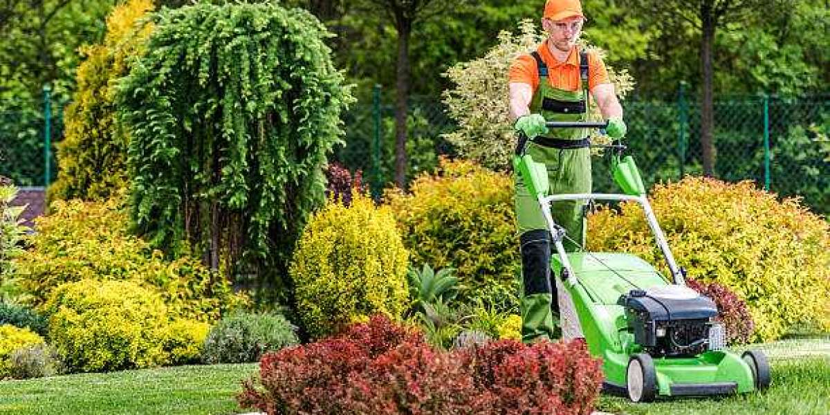 How Best Lawn Care Services Fight Lawn Disease Issues
