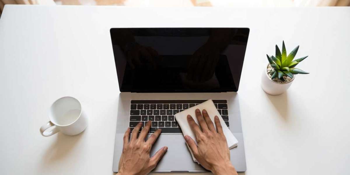 Palo Azul: Benefits, Tea Uses & Complete Herbal Guide