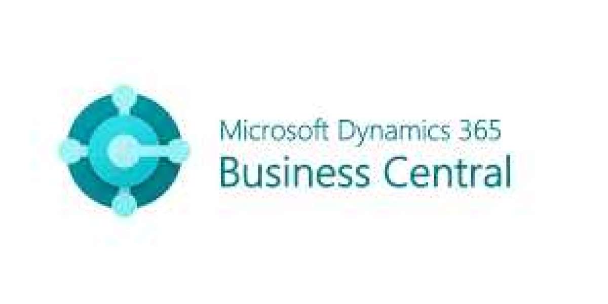 Business Central Portal: The Smarter Way to Serve Customers Without Overloading Your Team