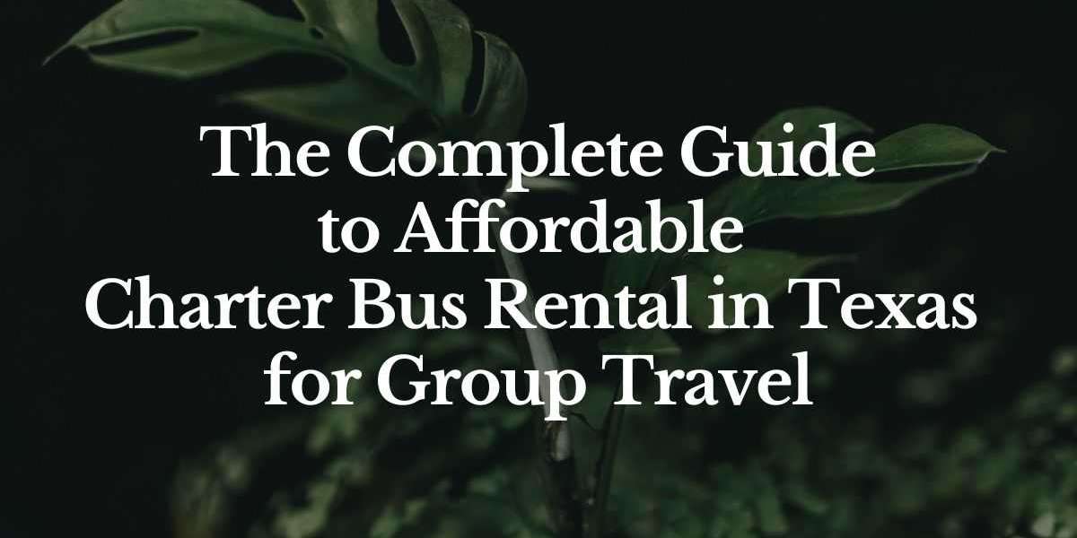 The Complete Guide to Affordable Charter Bus Rental in Texas for Group Travel
