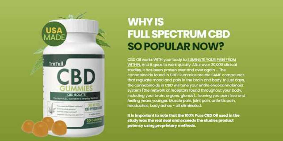 Forest Mountain CBD Gummies Performance