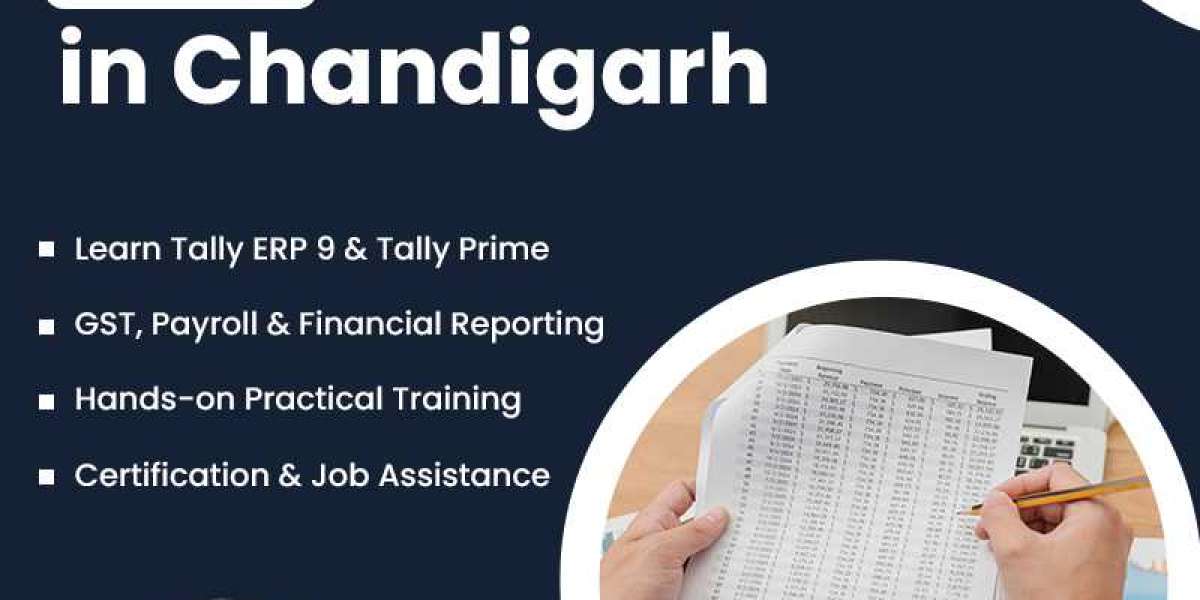 Build a Strong Accounting Career with the Right Training Path