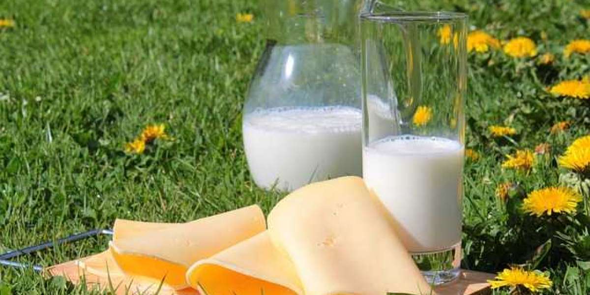 Health Benefits of Dairy Products: Why Milk, Cheese, and Yogurt Are Good for Your Body