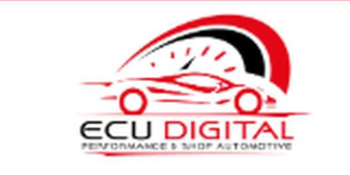 Banca Dati Auto: Strumento Essenziale per la Diagnostica e la Riparazione