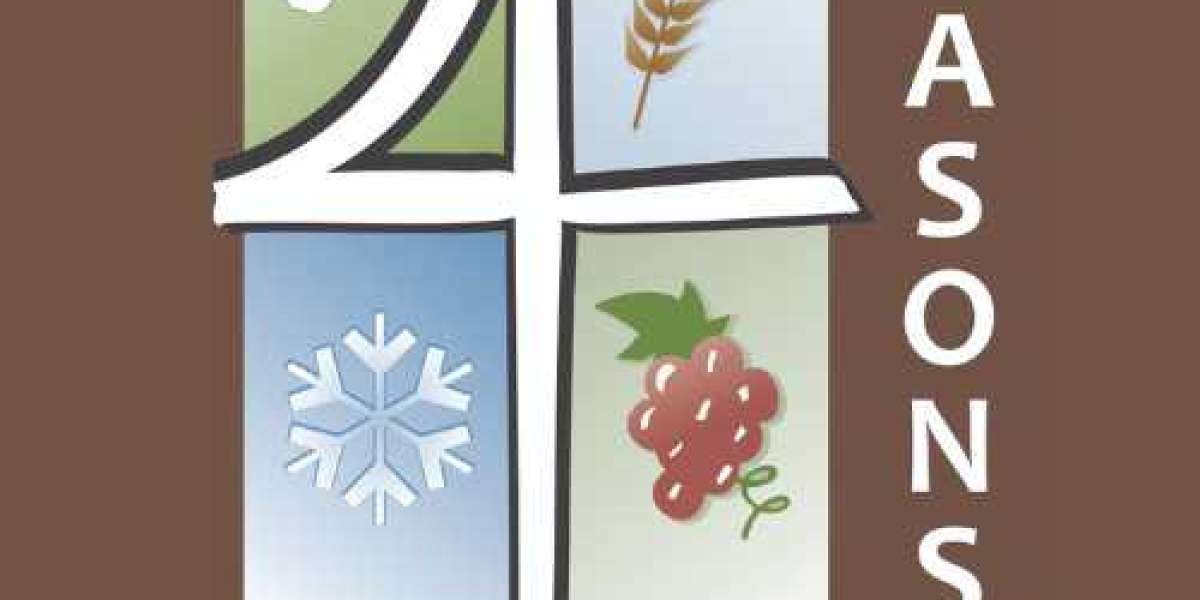 Complete Guide to Professional Teeth Cleaning at 4seasons Dental