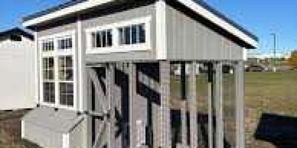 First Time Chicken Owner? Here's What Your Coop Needs