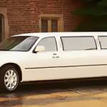 marling rose Profile Picture