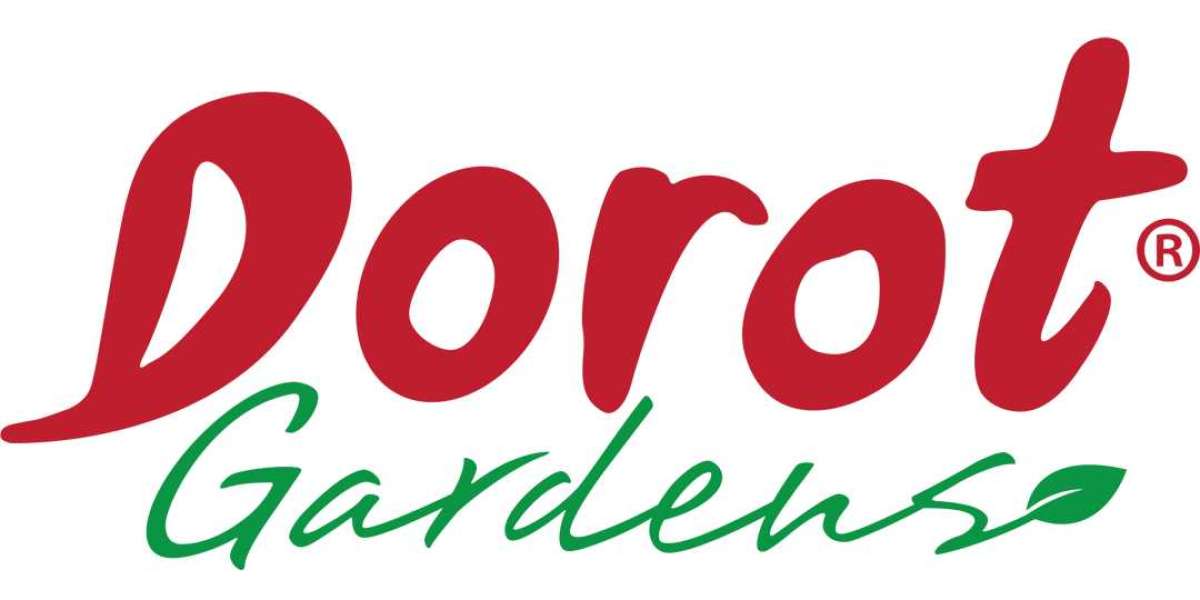 How Big Is a Frozen Garlic Cube Tray? Here’s the Answer