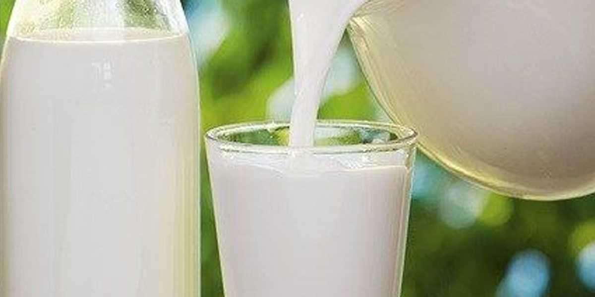Major Health Benefits of Fresh Milk
