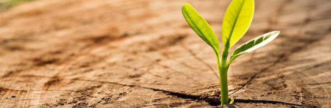 I Accountant Chartered Accountants Cover Image