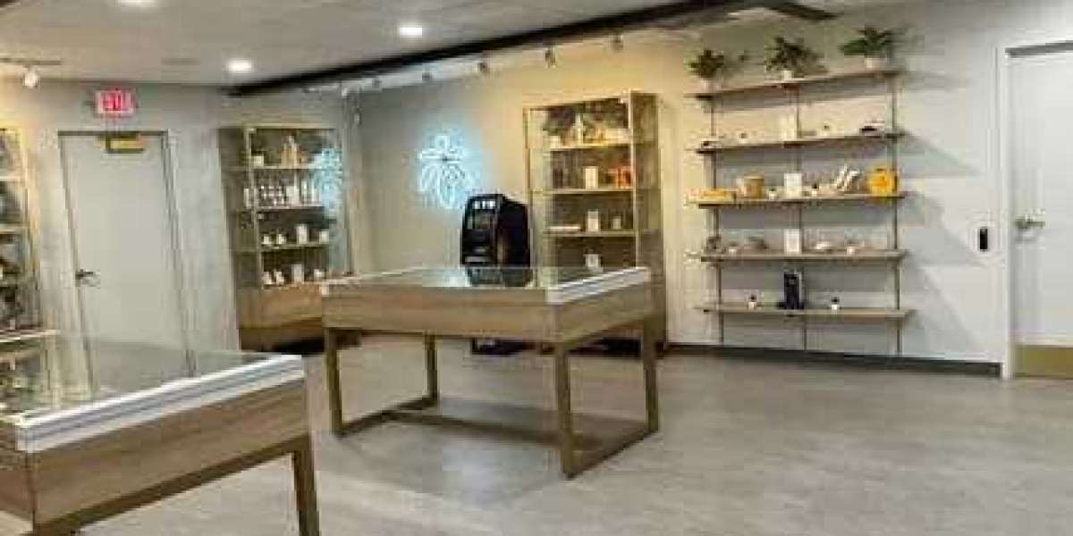 Exploring Recreational Cannabis Stores: A Beginner’s Guide