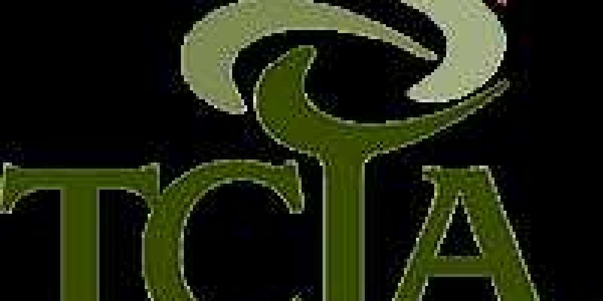 The Science Behind Quality Tree Trimming and Pruning Services