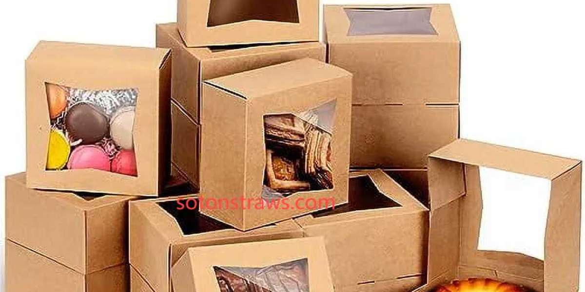 Soton Advances Disposable Kraft Box for Modern Convenience