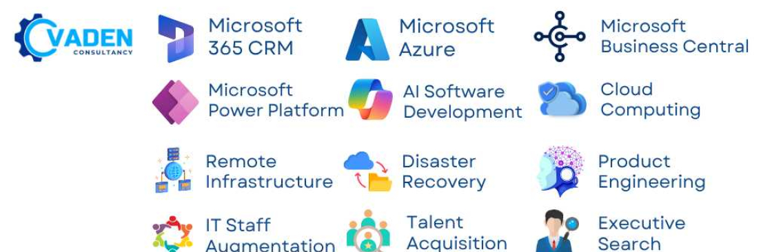 Vaden Consultancy Cover Image