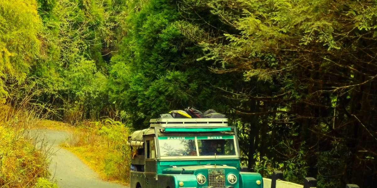 Singalila Ridge Trek: Where the Himalayas Walk Beside You