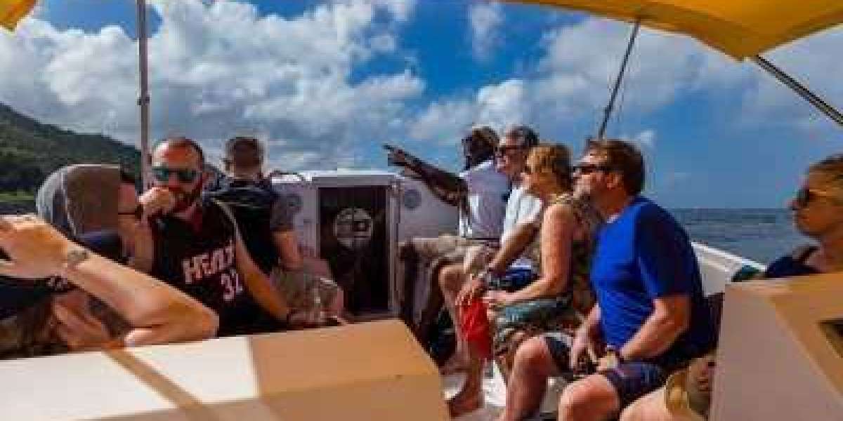 Enjoy Privacy and Comfort with a Yacht Charter in St Lucia