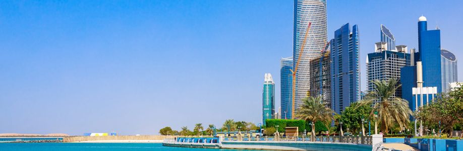 Advanced Properties Limited Cover Image