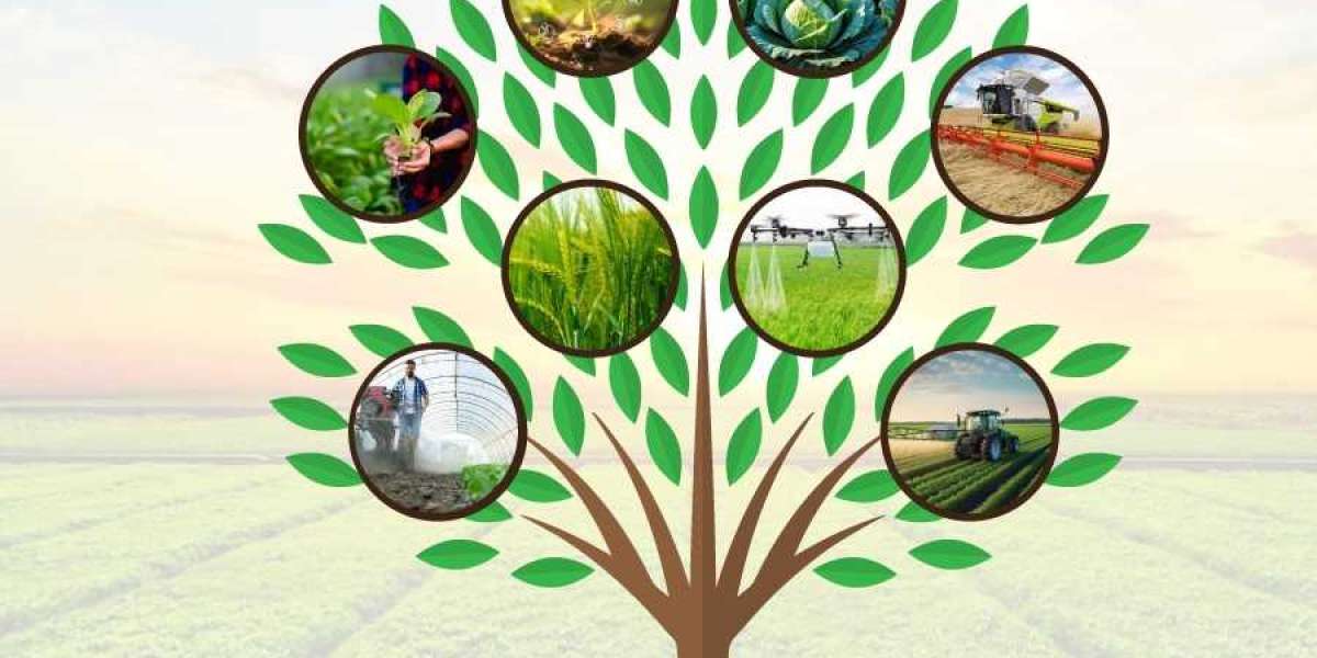 Strategic Insights into Global Okra Seeds Market Development 2026