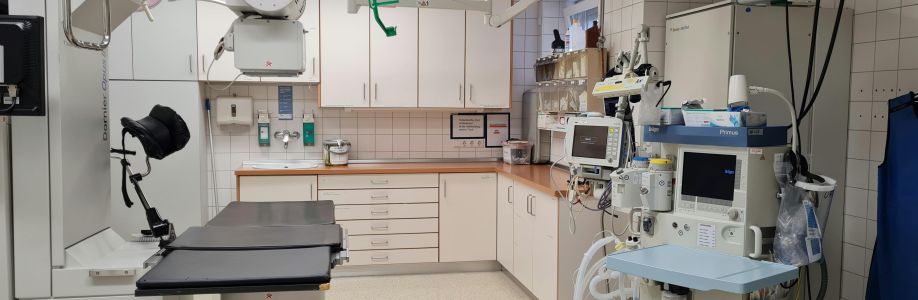 Green City Hospital Cover Image