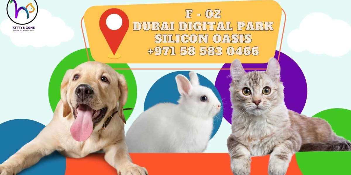 Cat Boarding Ajman & Dog Adoption Services Guide