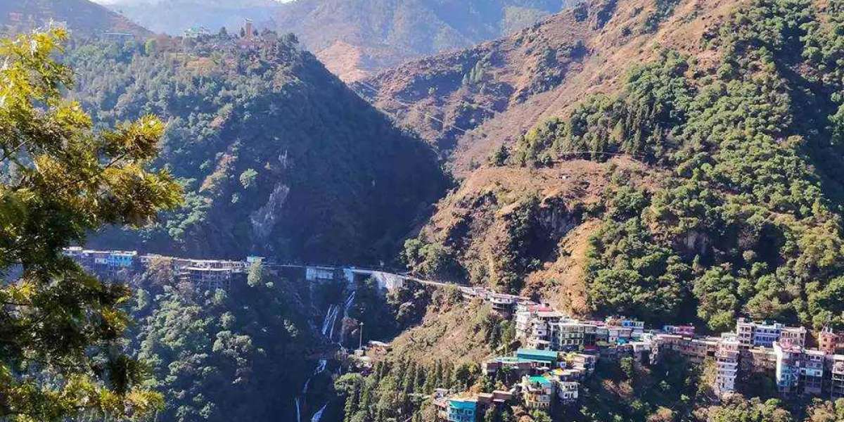 Beyond the Mall Road: Discovering the Quiet Side of Mussoorie