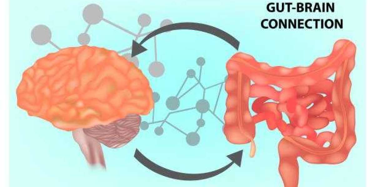Understanding the Gut Brain Axis and Its Influence on Daily Life