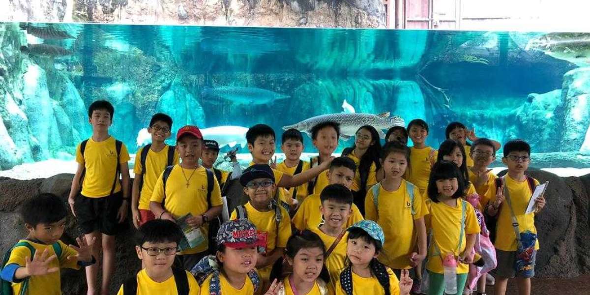 Tuition Centre Singapore: Academic Support for Student Success