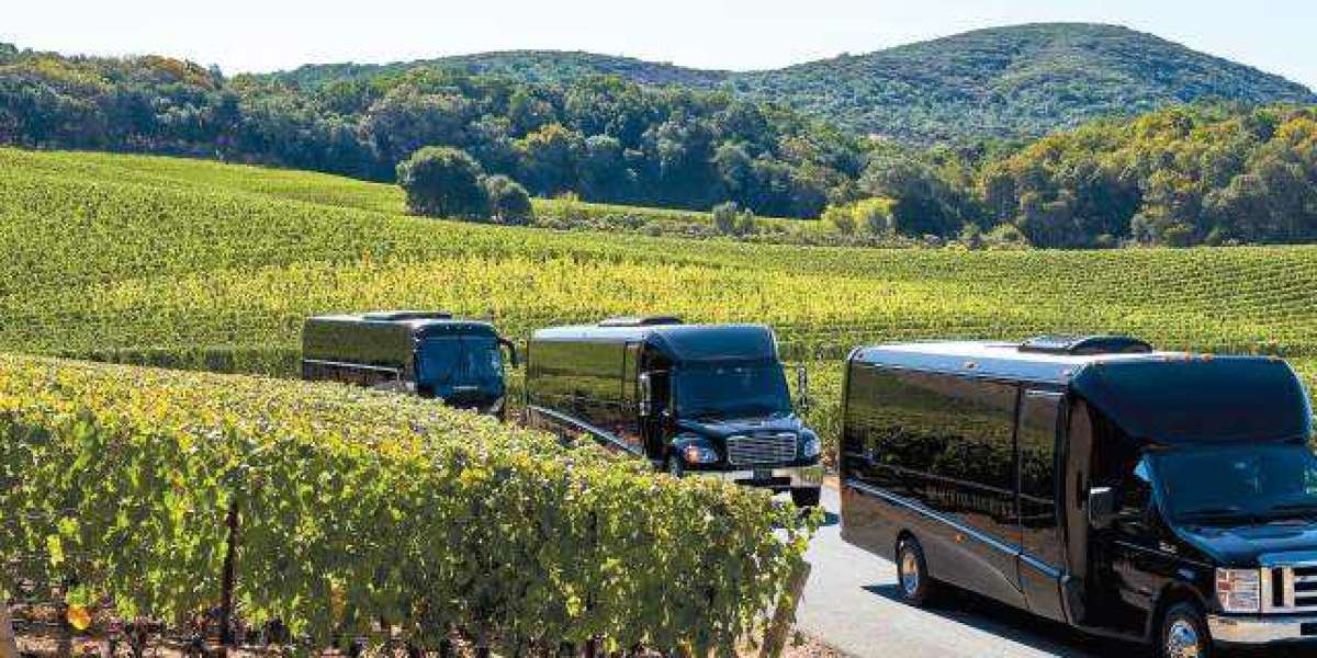 Winery Tours Services Austin to Fredericksburg