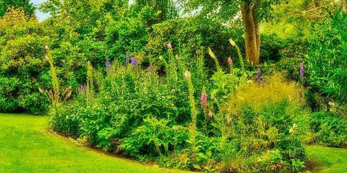 Building Beautiful and Functional Outdoor Spaces